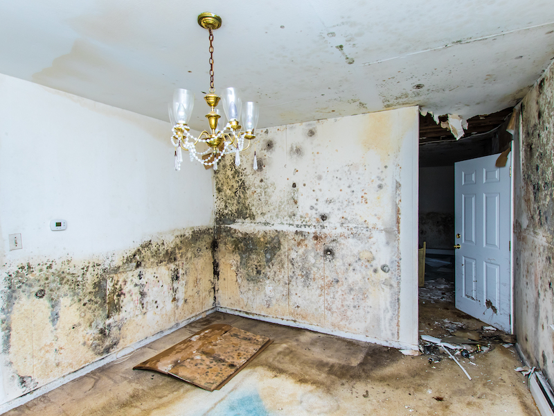 Water Damage Insurance Claim